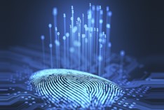 Zero-day malware, SQL injections rise in Q4 2019