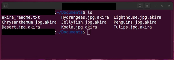 Akira Ransomware Extends Reach to Linux Platform — Cyble