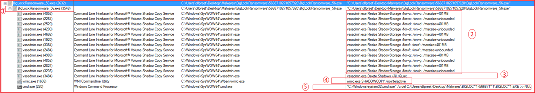 process tree corresponding to ransomware execution.