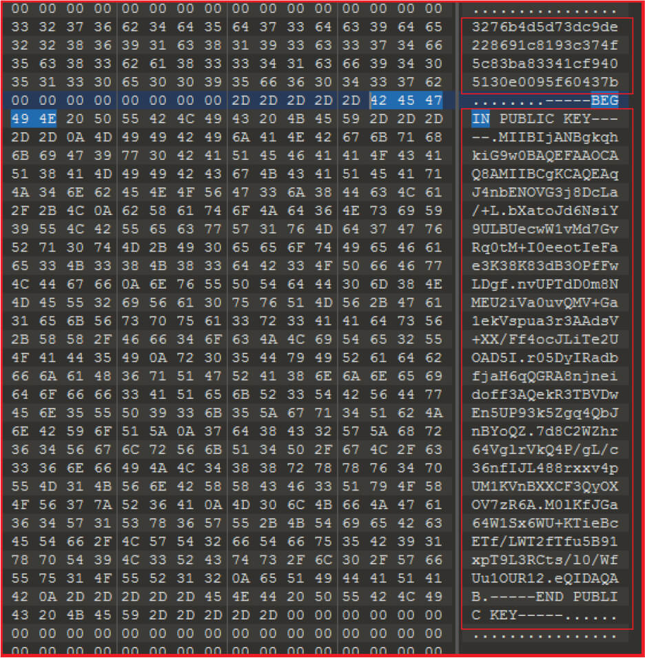malware binary