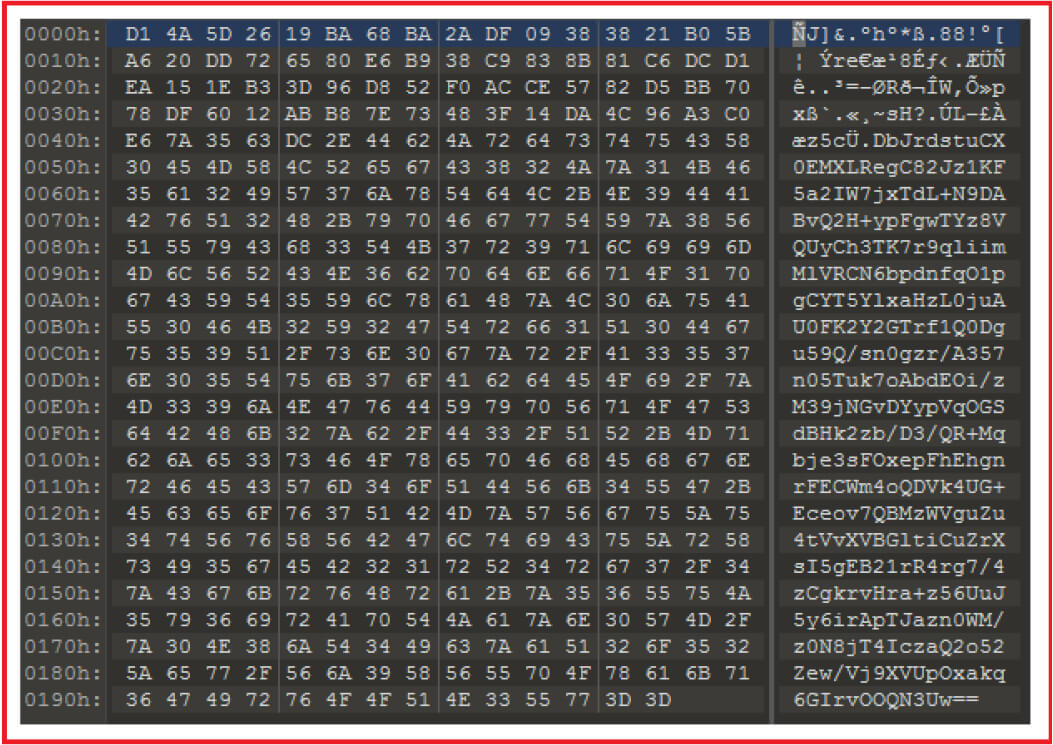 writes the content in the encrypted file with a unique signature